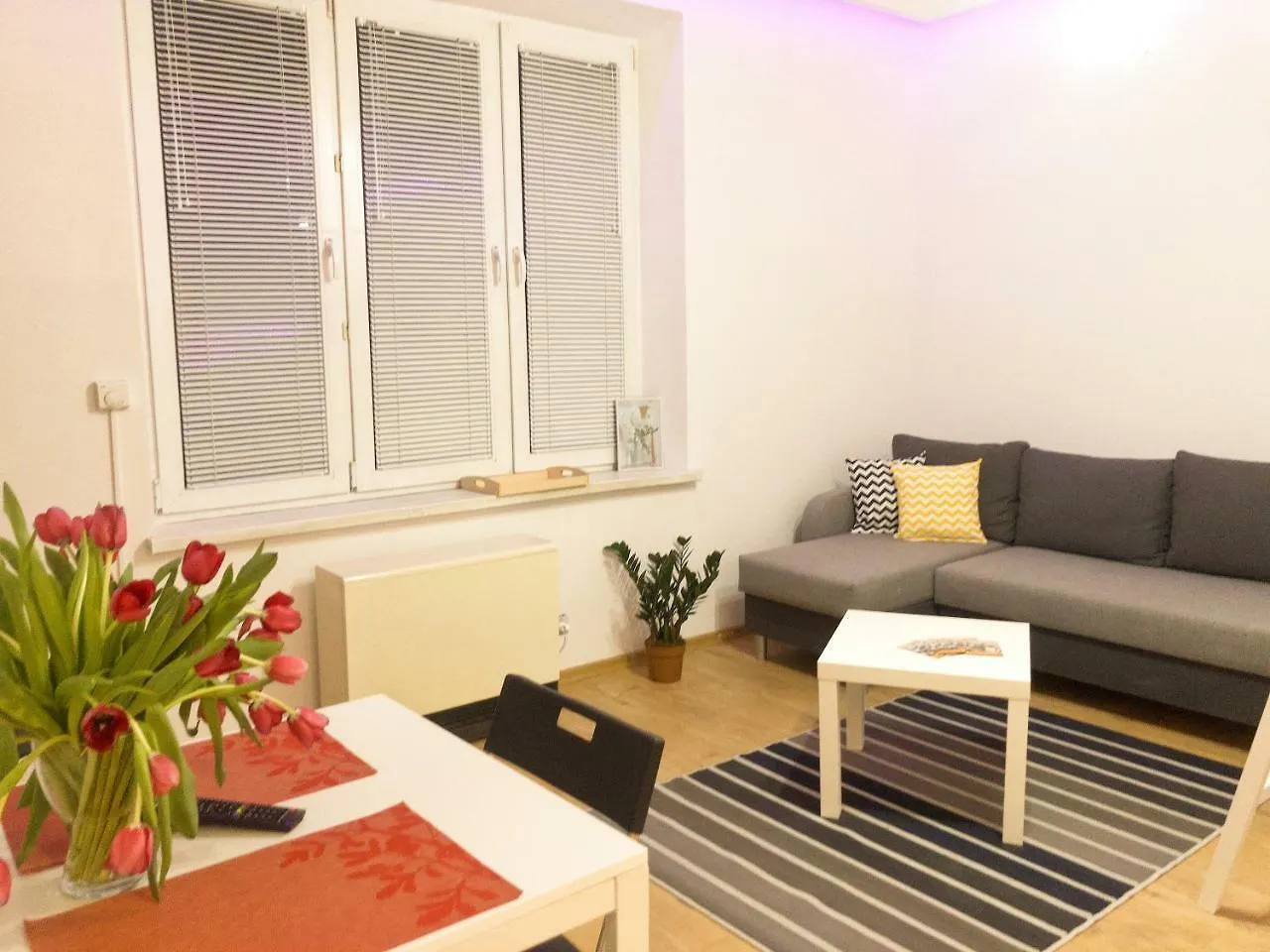 Aparthotel Fox Center Kraków Lejlighed