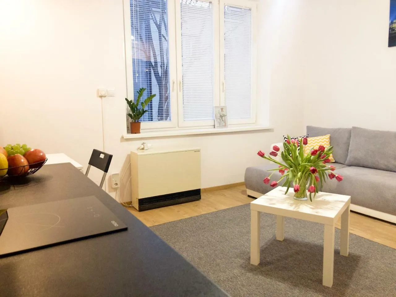 Aparthotel Fox Center Cracovia 0*,