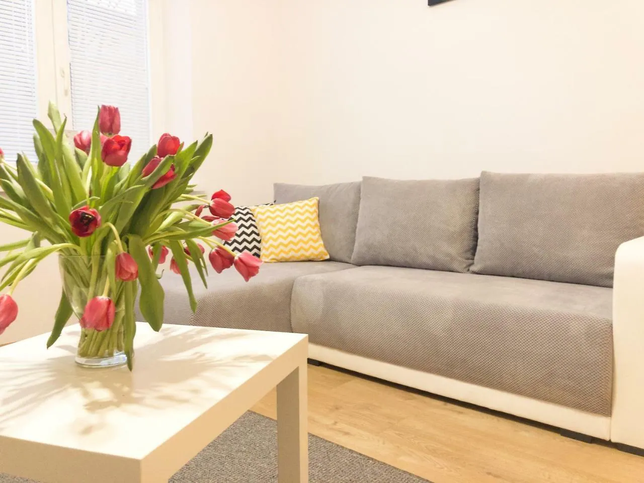 Aparthotel Fox Center Cracovia Apartamento